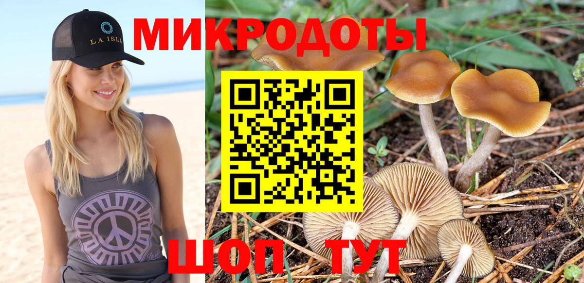 Псилоцибиновые грибы мицелий  Галлюциногенные грибы Psilocybine cubensis  Карталы  Вход с VPN 